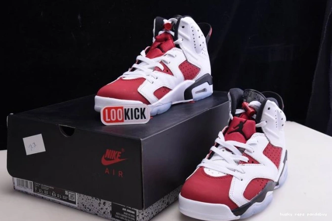 Rep Husky 'CARMINE' 2021 AIR 6 RETRO JORDAN CT8529-106 0814